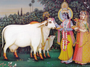 The Power of Goseva – Why Worshipping the Cow is Sacred